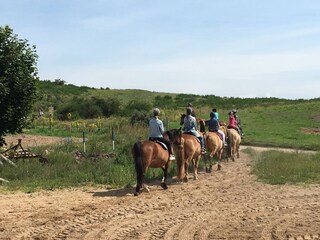 auf dem Pferderücken durch das Hügelland vom Dornbusch