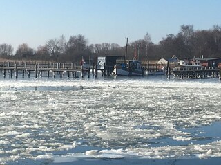 Winterruhe im Hafen von Kloster