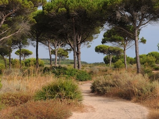 Villa Conil de la Frontera Ambiente 20