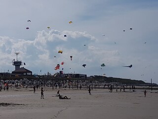 Drachenfest im August