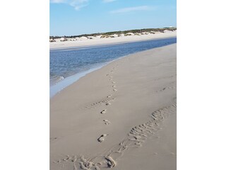 Spuren im Sand