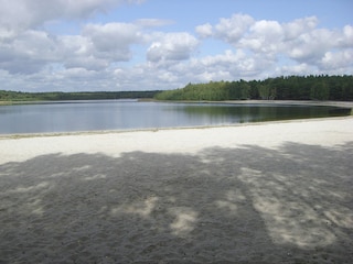 Am schönen Briesener See