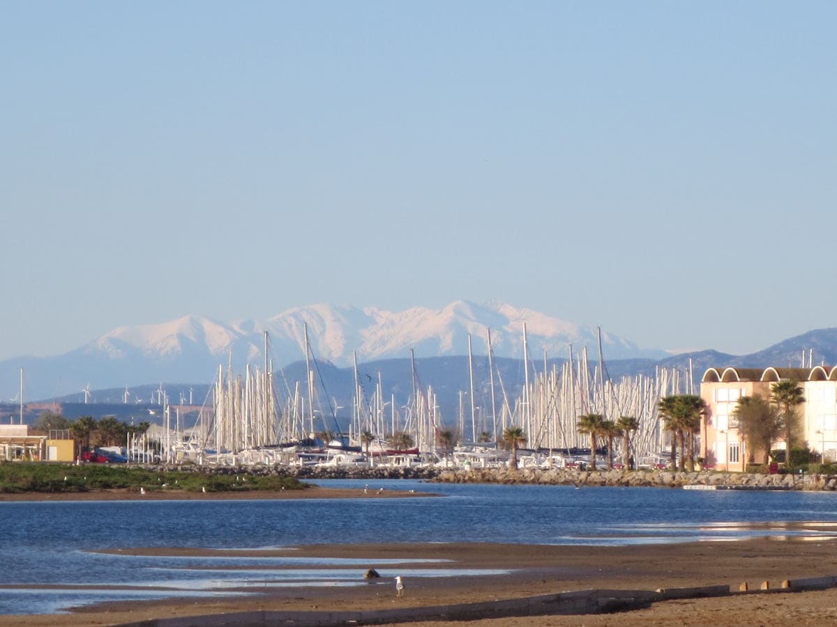 Blick auf den Hafen mit dem Pic du Canigou