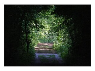 Vakantiehuis Hannut Omgeving 33