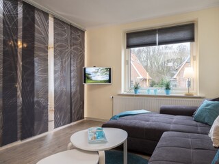 TV Couch