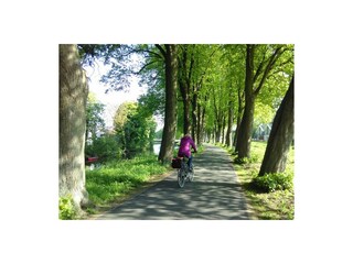 Maison de vacances Nordhorn Environnement 35