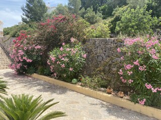 Casa per le vacanze Pego Registrazione all'aperto 17