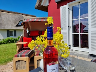 Rapsblüte mit Wiesenblick