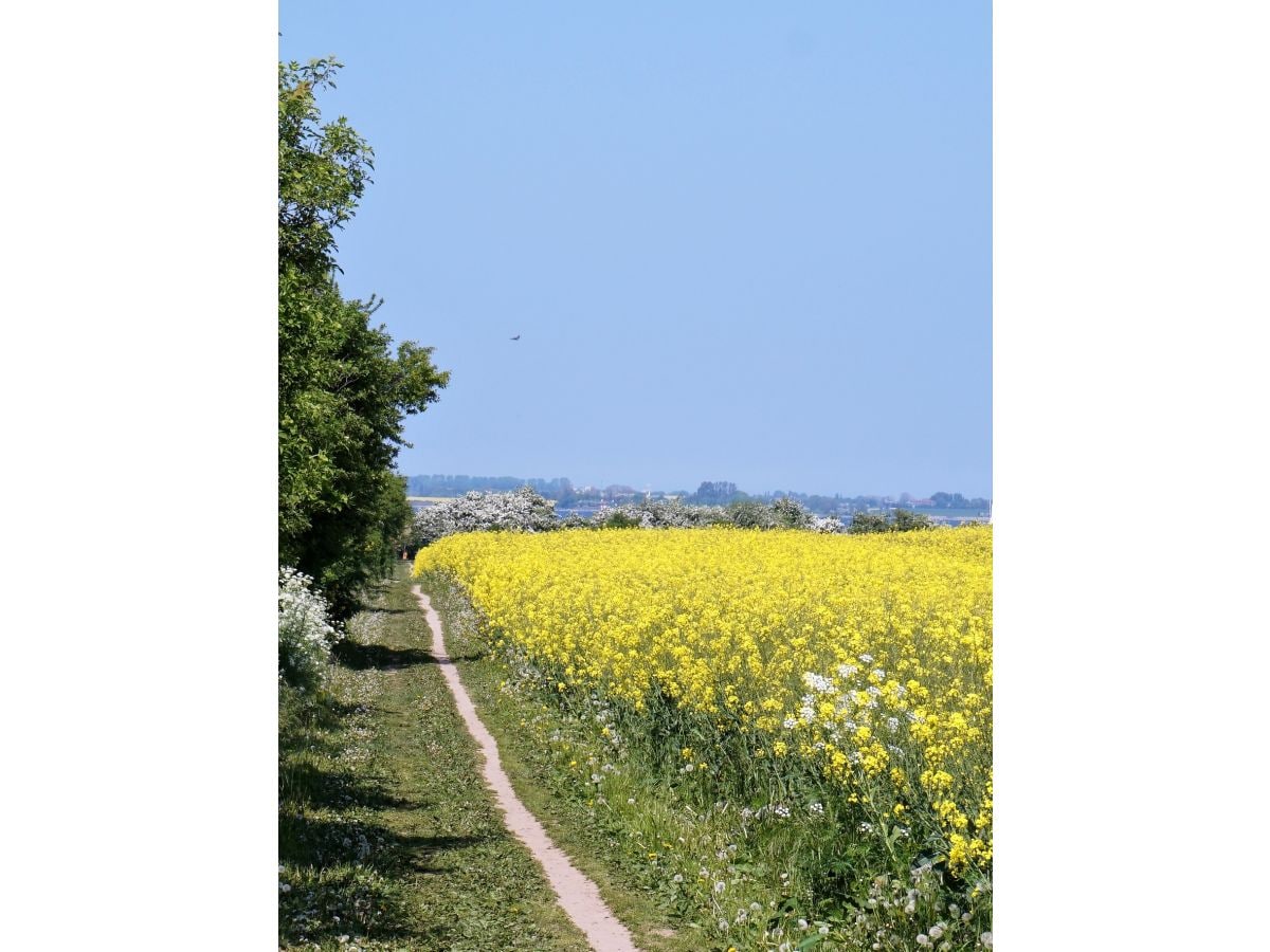 Weg zum naturstrand