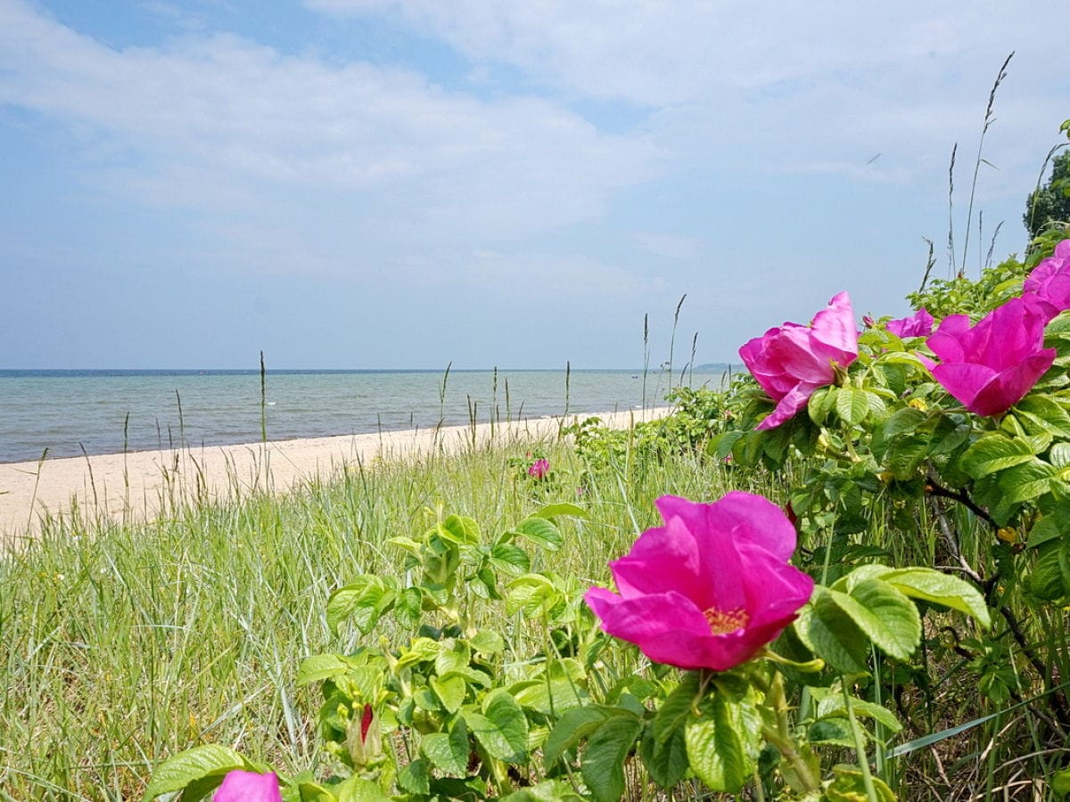 Strand Zierow