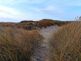 Ferienhaus Bork Havn  42