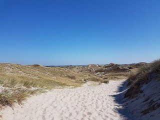 Casa de vacaciones Bork Havn  28