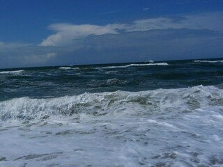 Ferienhaus Bork Havn  31