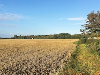 Ferienhaus Tåsinge  29