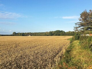 Maison de vacances Tåsinge  30