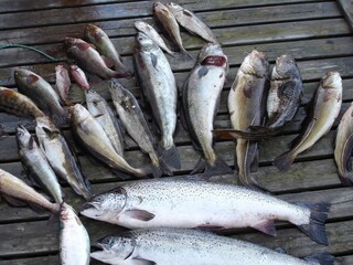 Maison de vacances Hjelmeland  41