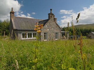 The Cottage on its Forest Clearing