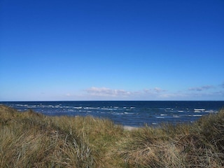 Ferienhaus Læsø  20