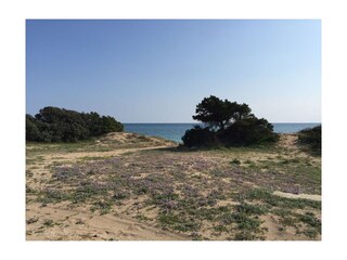 Casa per le vacanze Manduria Ambiente 22