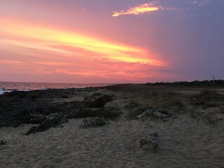 Casa per le vacanze Manduria Documento 25