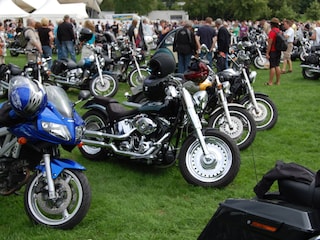 Harley Treffen