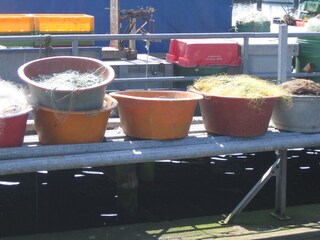 Appartamento per vacanze Travemünde Ambiente 17