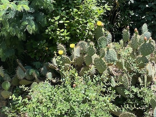 Im Garten