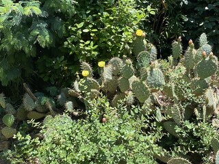 Villa Grimaud Registrazione all'aperto 9