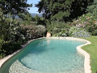 Pool und Garten