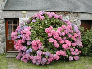 Casa per le vacanze Crozon Registrazione all'aperto 4