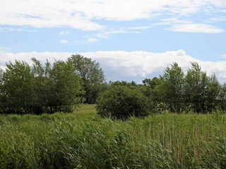 Maison de vacances Humble  32