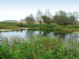 Ferienhaus Humble  6