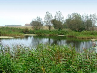 Vakantiehuis Humble  6