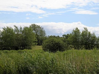 Vakantiehuis Humble  41