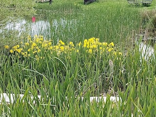 Vakantiehuis Humble  20