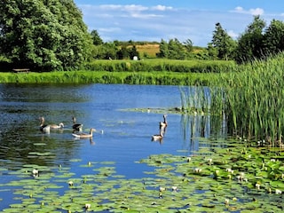 Casa per le vacanze Humble  24