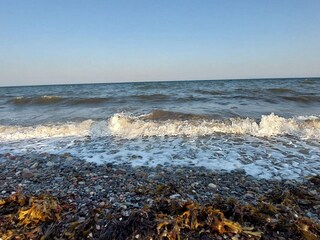 Ferienhaus Humble  38