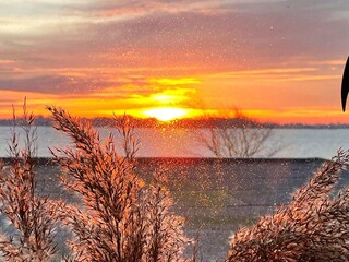 Apartamento Schausende  11