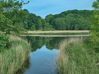 Apartment Schausende  29