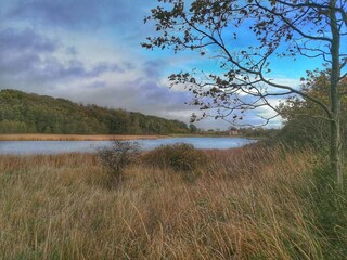 Apartment Schausende  21