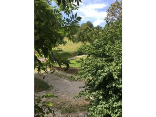 Blick aus dem Fenster