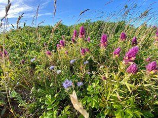 Maison de vacances Bjerge Strand  27