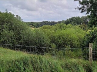 Ferienhaus Hovborg  9