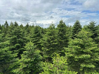 Casa de vacaciones Hovborg  13