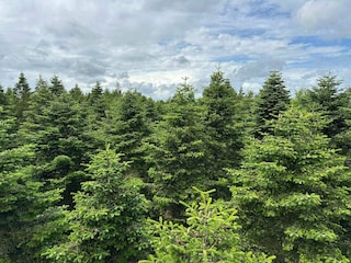 Ferienhaus Hovborg  17