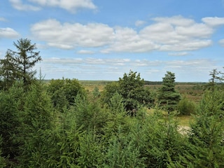 Ferienhaus Hovborg  23