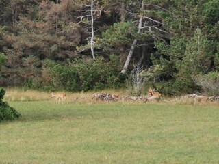 Maison de vacances Bjerge Strand  34