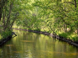 Maison de vacances Bjerge Strand  35