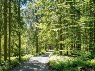 Vakantiehuis Unnaryd Buitenaudio-opname 8