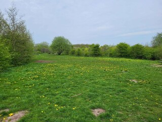 Vakantiehuis Esbjerg  31